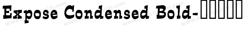 Expose Condensed Bold字体转换